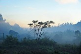 IMG 0287hdrd