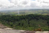 Fieldwork: Flagship Species of Brazil Serra Do Urubu Panorama