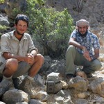 Camera trap footage from the Dhofar Mountains