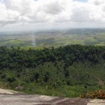 Fieldwork: Flagship Species of Brazil